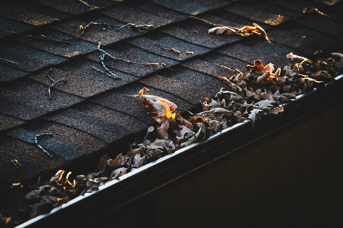 Clogged Gutters and Downspouts