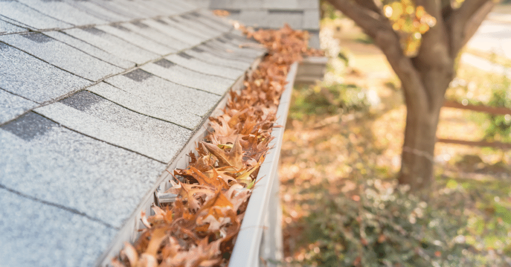 Gutter Cleaning Before & After Picture