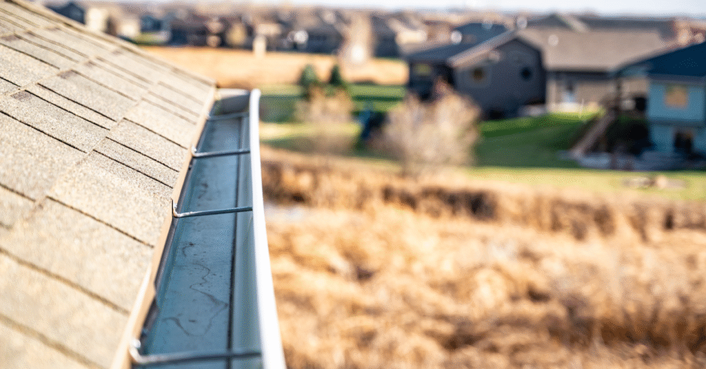 Gutter Cleaning Before & After Picture